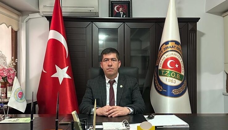 Ezine Peynirinde Büyük Tehlike: Süt Üretimindeki Düşüş Sahteciliği Artırdı