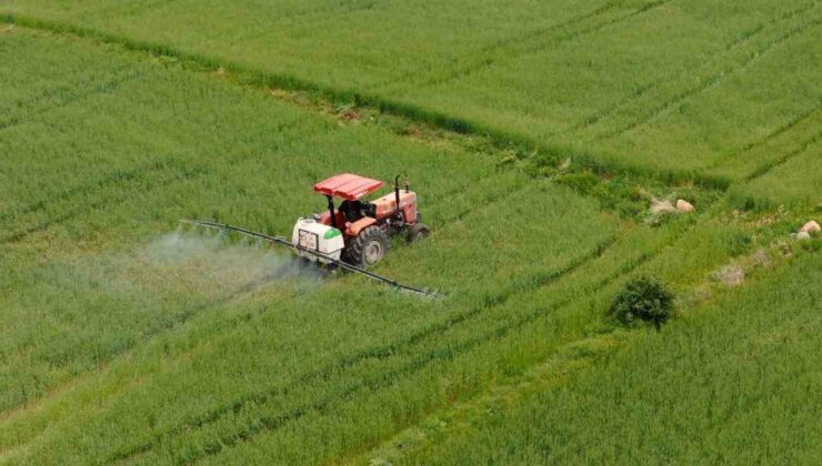 Tarım ve Orman Bakanlığı Kasım Desteklerini Üreticilere Aktardı