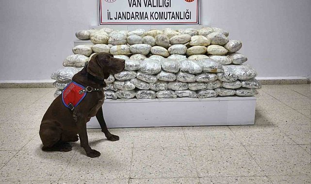 Başkale’de 60 Kilo Skunk Ele Geçirildi