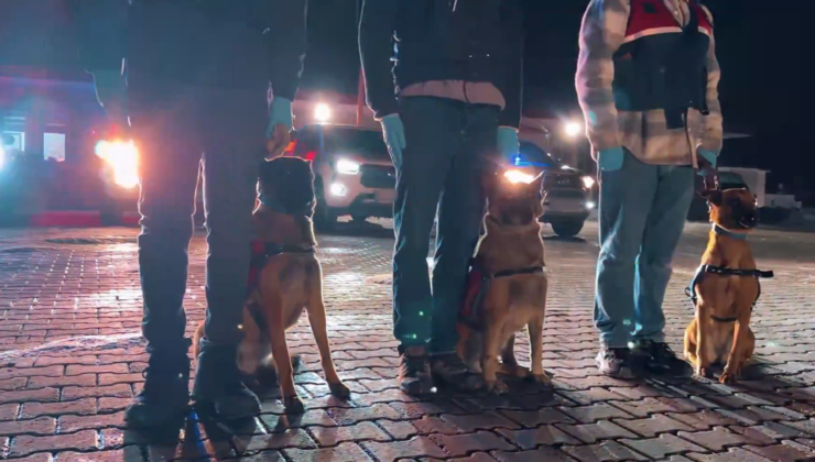 İstanbul Merkezli Suç Örgütlerine Dev Operasyon: 17 Gözaltı