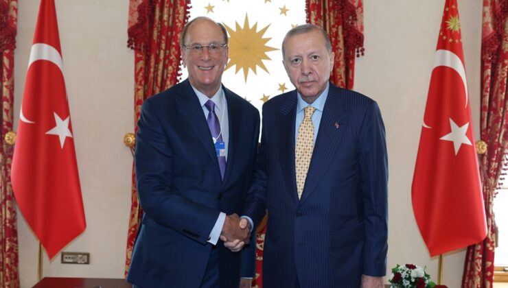 Cumhurbaşkanı Erdoğan, WEF ve BlackRock Başkanlarını Kabul Etti