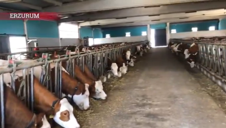 Erzurum’un Kırsal Kalkınmasına TKDK’dan 3,38 Milyar TL’lik Dev Yatırım