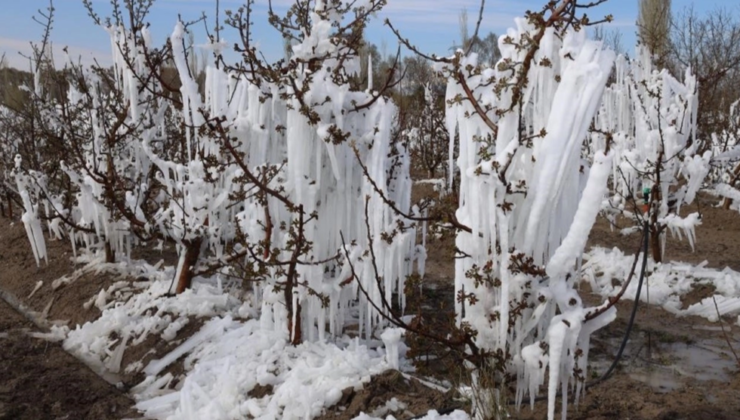 Ankara İçin Hafif Zirai Don Uyarısı