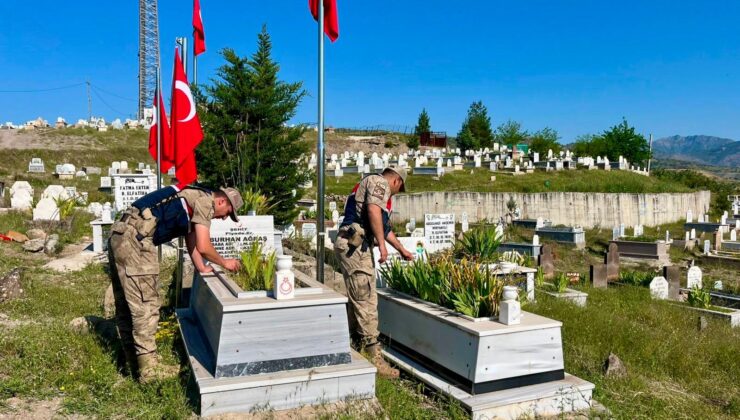 Siirt’te 196 Şehit Kabrinin Bakım Ve Onarımı Yapıldı