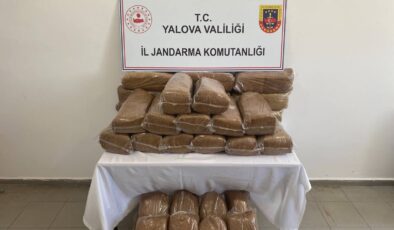 Yalova’da Jandarma Operasyonunda Bandrolsüz Tütün Ele Geçirildi