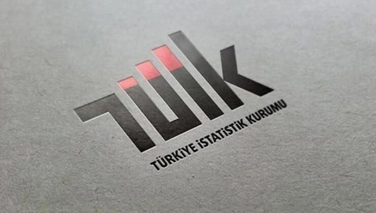 TÜİK 2025 Yılı Sanayi Ve Hizmet İstatistiklerini Açıkladı